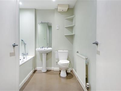 Picture 11
